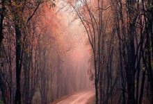 对决无懈可击，双方均势不让——从较量到共鸣的力量