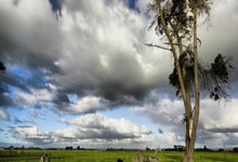 对决无懈可击，双方均势不让——从较量到共鸣的力量