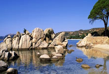 对决无懈可击，双方均势不让——从较量到共鸣的力量